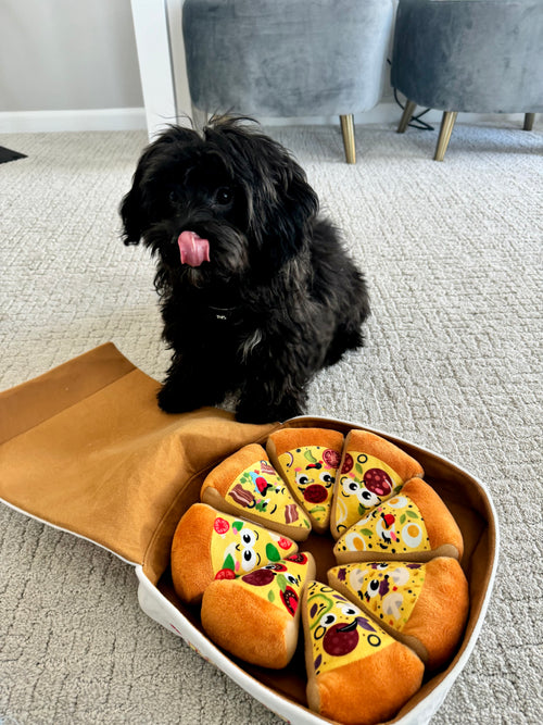 Doggie Deep Dish Toy Pizza - Fun Plush Toy in a Box with Cute Pizza Slices for Pet Play
