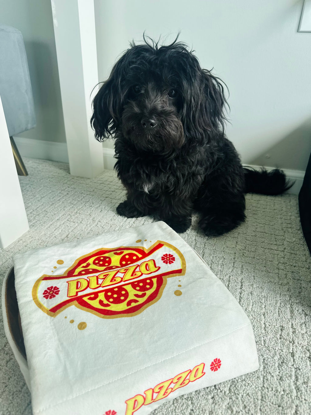 Doggie Deep Dish Toy Pizza - Fun Plush Toy in a Box with Cute Pizza Slices for Pet Play